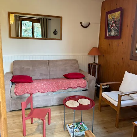 T2 Les Marguerites Apartment *